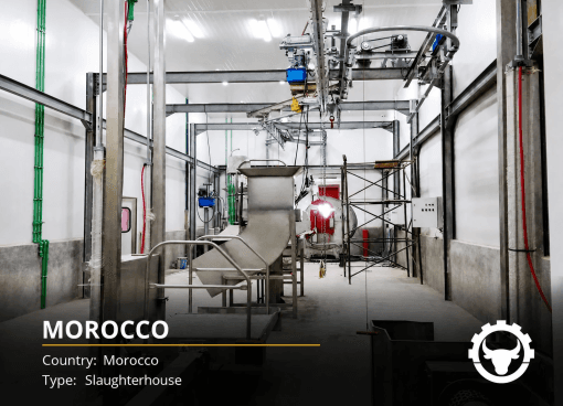 MODERN SLAUGHTERHOUSE MOROCCO — KENITRA