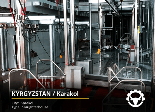 SLAUGHTERHOUSE IN KYRGYZSTAN — KARAKOL