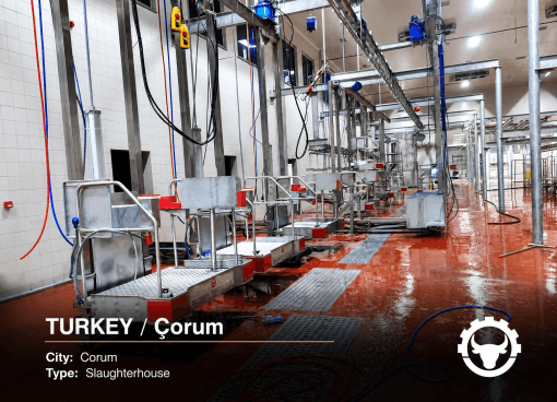 SLAUGHTERHOUSE IN TURKEY — ÇORUM