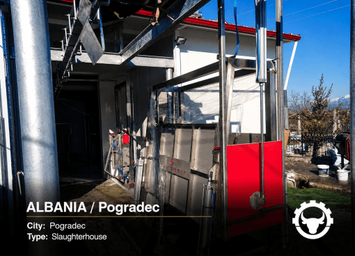 SLAUGHTERHOUSE IN ALBANIA — POGRADEC