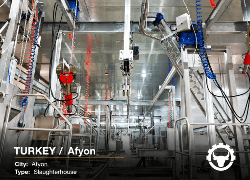SLAUGHTERHOUSE IN TURKEY — AFYON