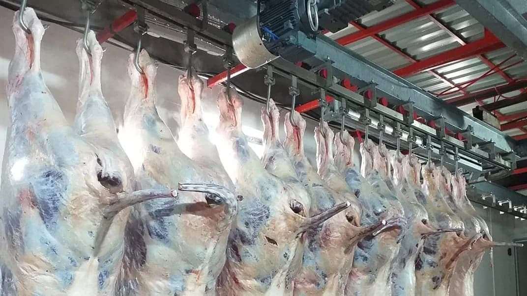 Gestion de l’hygiène, de la capacité et de la traçabilité sur les lignes de suspension de carcasses