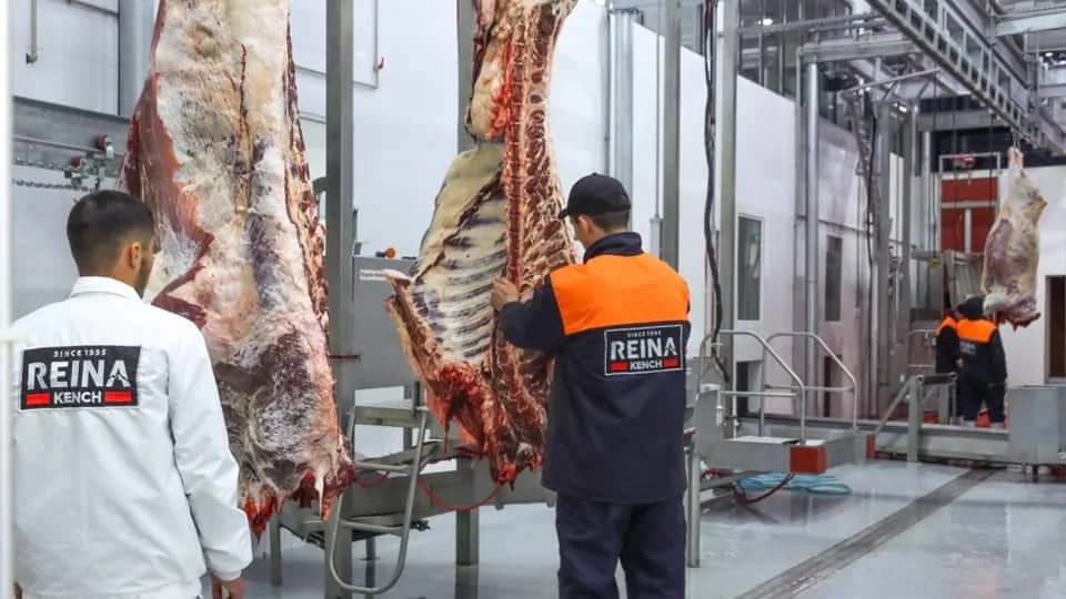 Comment planifier les postes de traitement des carcasses dans les abattoirs modernes ?