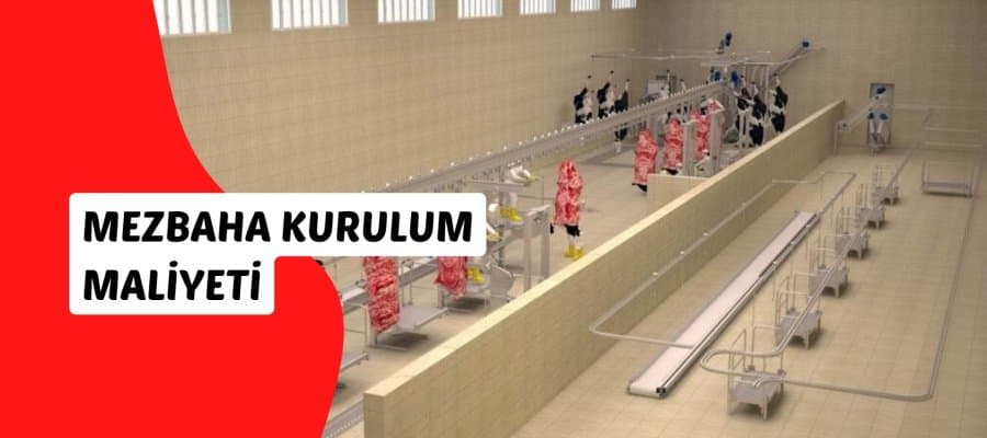 Slaughterhouse Setup Cost 2025: Step-by-Step Guide