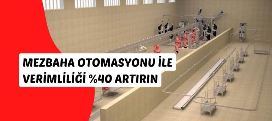 زيادة الكفاءة بنسبة 40% مع أتمتة المسالخ