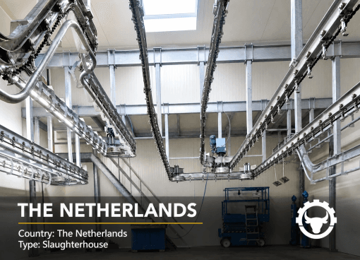 SLAUGHTERHOUSE IN NETHERLANDS — HARDERWICJK