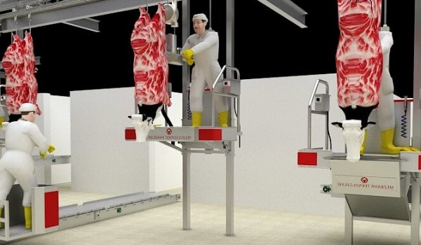 slaughterhouse project