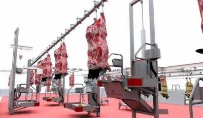 slaughterhouse project