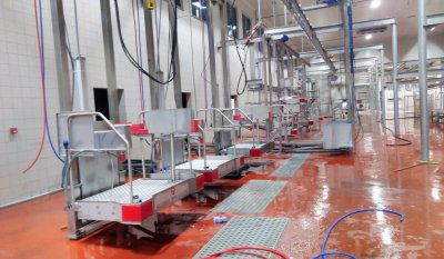 modern mezbaha sistemleri