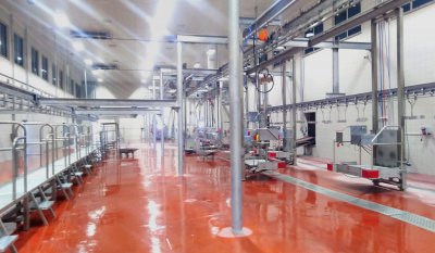 slaughterhouse systems