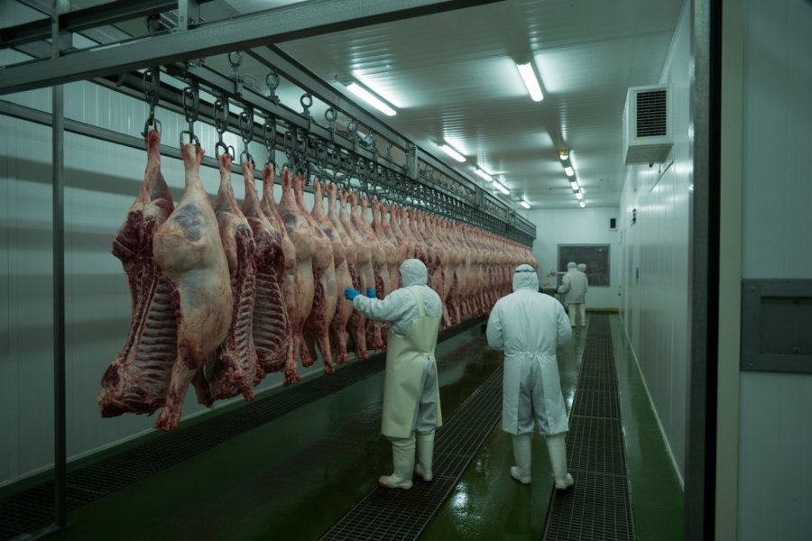 Mezbaha Soğuk Oda Tasarımı