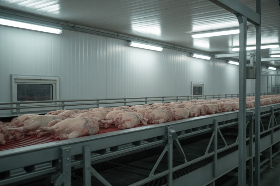 Otomatik Mezbaha Sistemleri ile Standartların Yeniden Tanımlanması