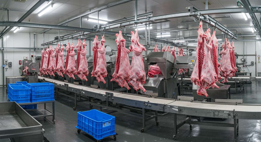 Mezbaha Deri Yüzme Sistemi Üretim Akışını Rahatlatır mı