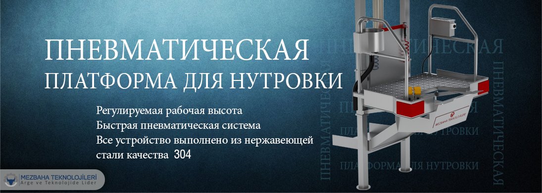 пневматическая платформа для внутренних органов