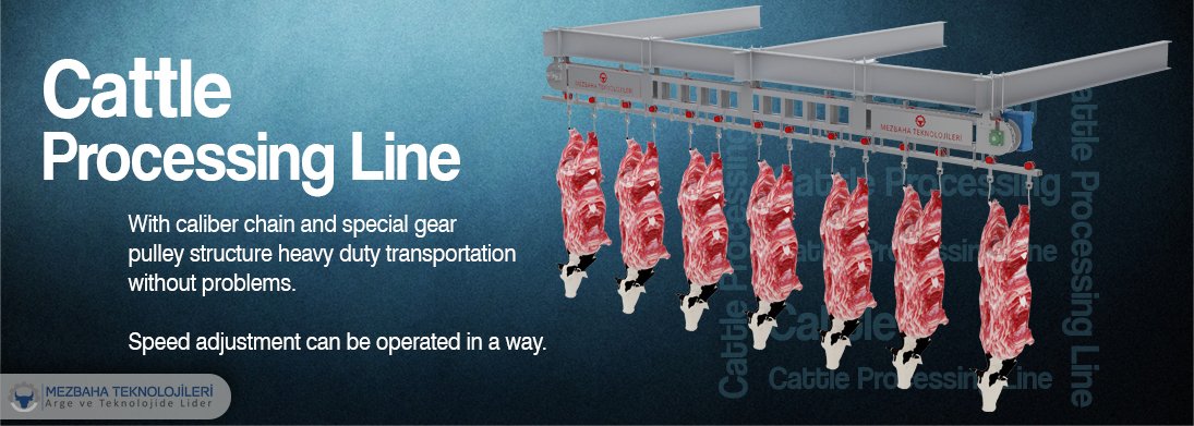 cattle processing line