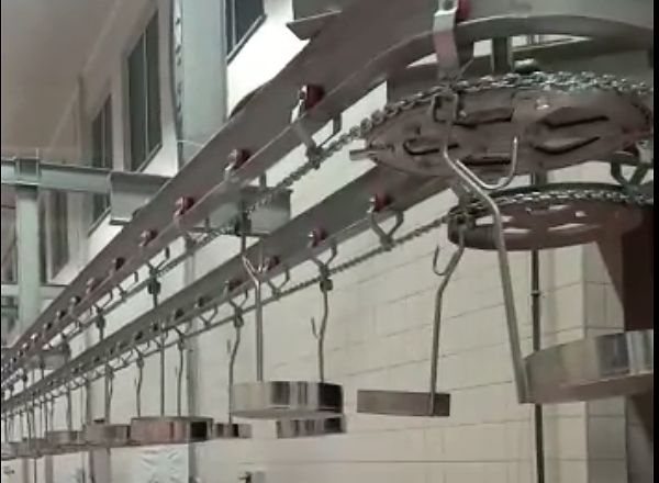 Liver Conveyor