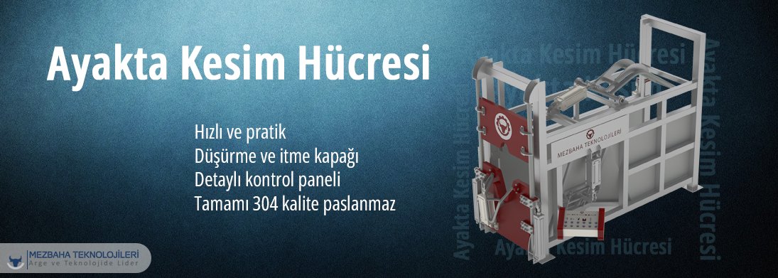 ayakta kesim hücresi