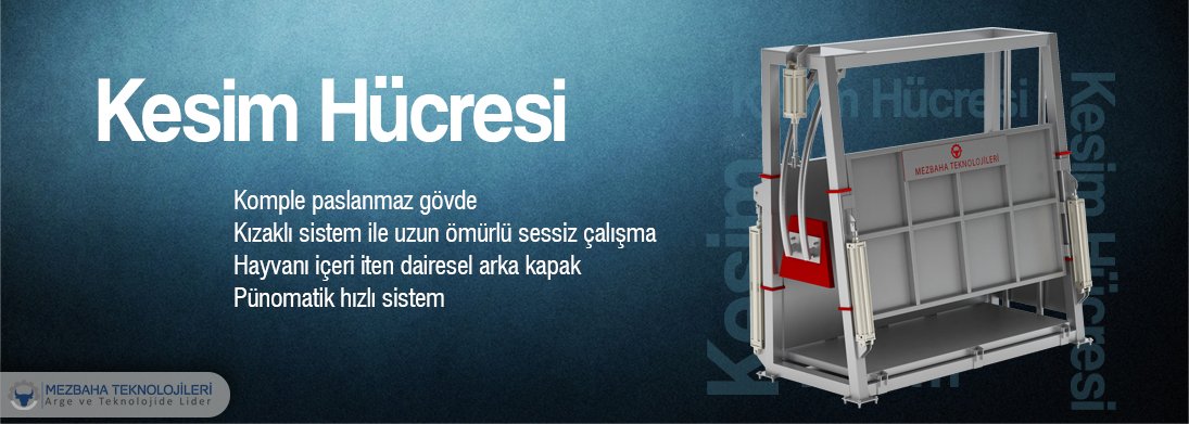 sığır kesim hücresi