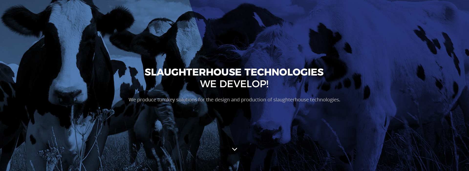 slaughterhouse equipment manufacturuing